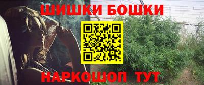 соль ск Лесосибирск