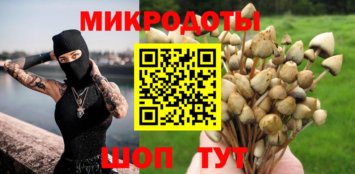 Галлюциногенные грибы Psilocybine cubensis Губкинский